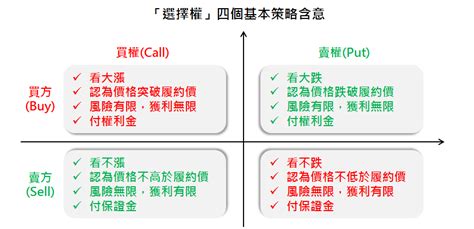 選擇意思